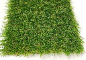 EasyGreen
